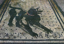 Cave Canem Pompei